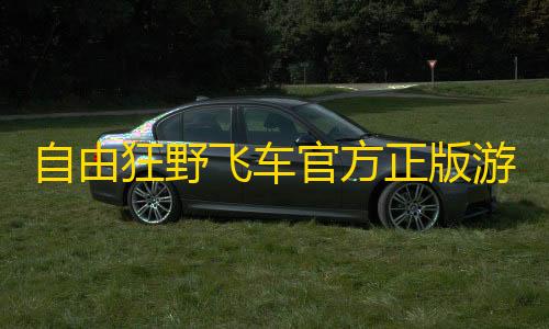 和平精英辅助科技自由狂野飞车官方正版游戏 v1.0.3